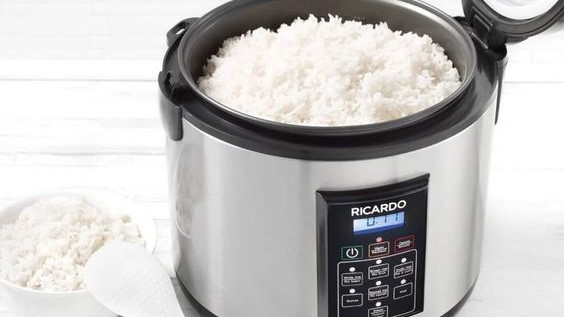 Mengapa Nasi di Rice Cooker Bisa Menghasilkan Listrik, Ini Penjelasan dan Solusinya