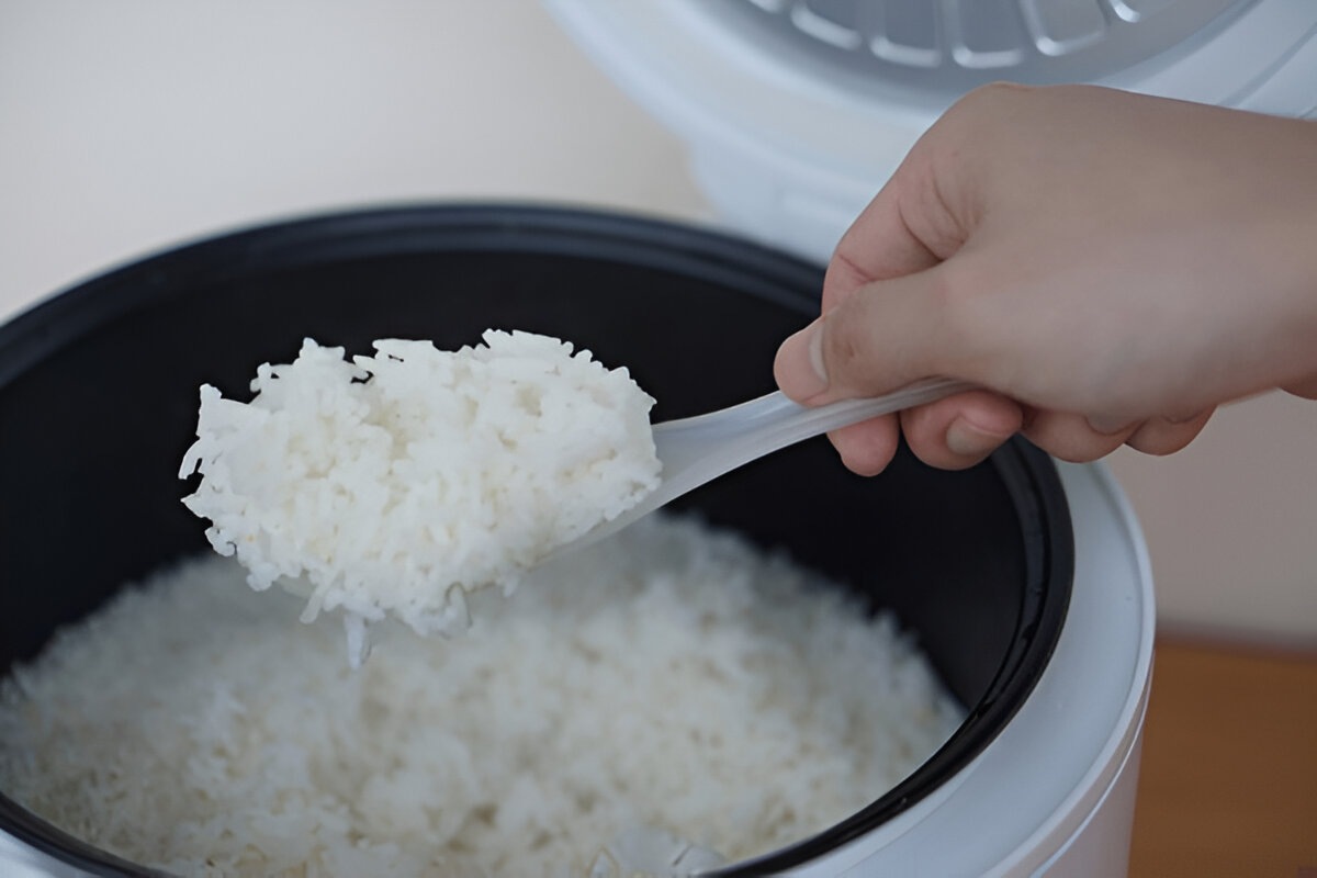 Cara Merawat Rice Cooker agar Tahan Lama dan Tetap Higienis
