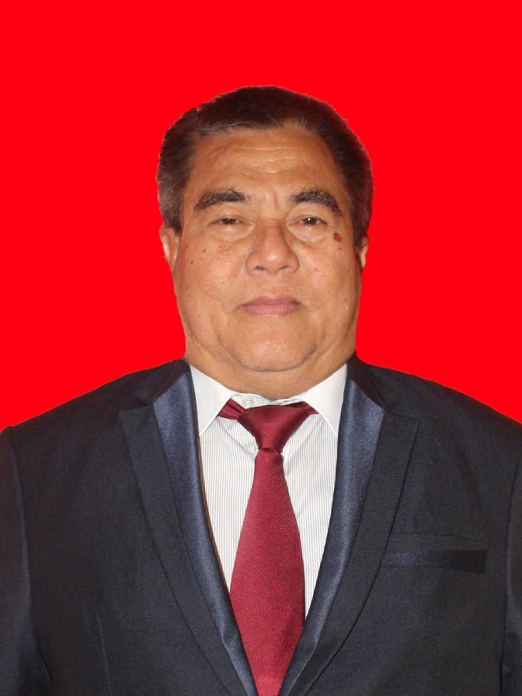 Revolson Alexius Mege 